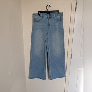 QUINCE Bella Stretch Wide Leg Jeans 33 Frosted Blue Cotton